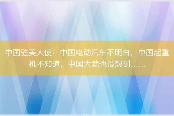 中国驻美大使：中国电动汽车不明白，中国起重机不知道，中国大蒜也没想到……