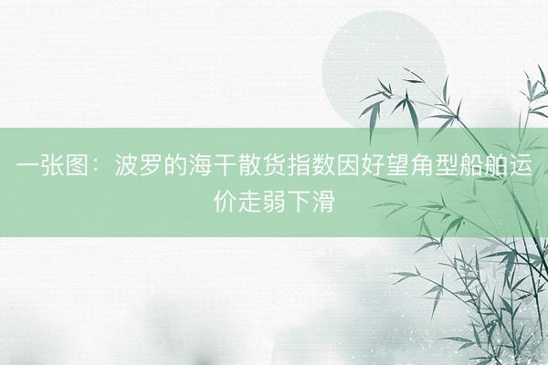 一张图：波罗的海干散货指数因好望角型船舶运价走弱下滑