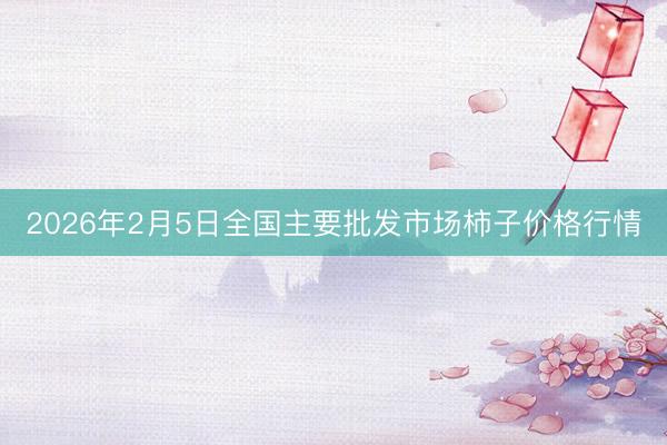 2026年2月5日全国主要批发市场柿子价格行情