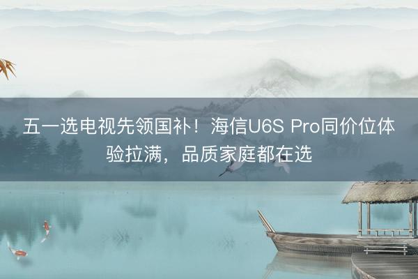 五一选电视先领国补！海信U6S Pro同价位体验拉满，品质家庭都在选