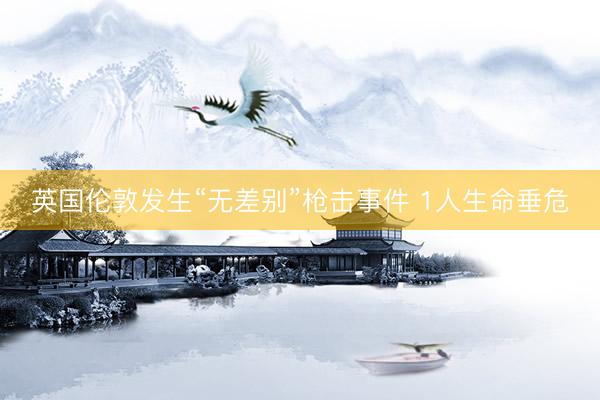 英国伦敦发生“无差别”枪击事件 1人生命垂危