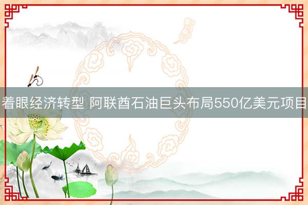 着眼经济转型 阿联酋石油巨头布局550亿美元项目