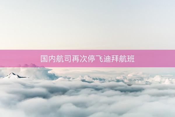 国内航司再次停飞迪拜航班