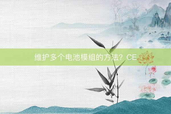 维护多个电池模组的方法？CE