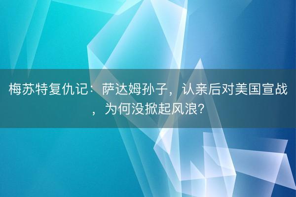 梅苏特复仇记：萨达姆孙子，认亲后对美国宣战，为何没掀起风浪？