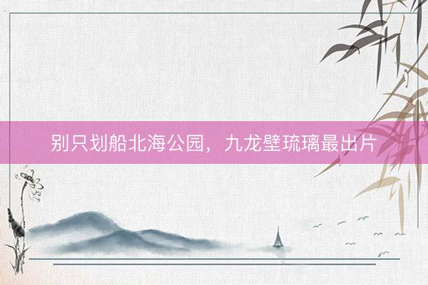 别只划船北海公园，九龙壁琉璃最出片