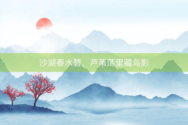 沙湖春水碧，芦苇荡里藏鸟影
