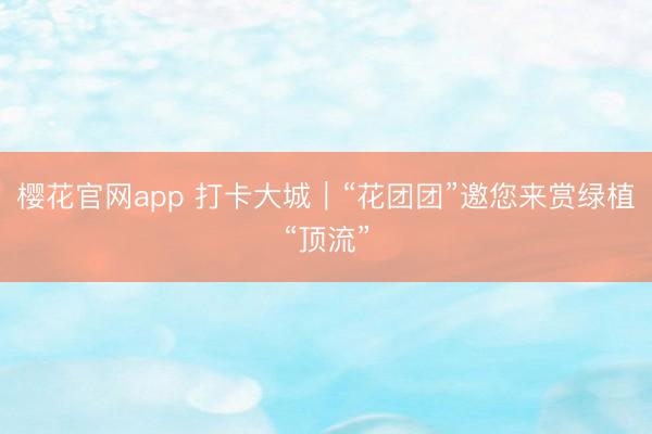 樱花官网app 打卡大城|“花团团”邀您来赏绿植“顶流”