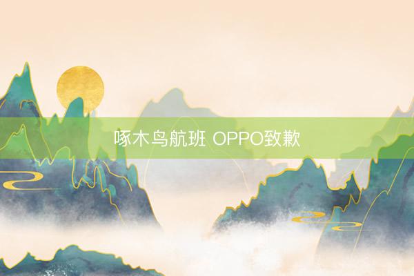 啄木鸟航班 OPPO致歉