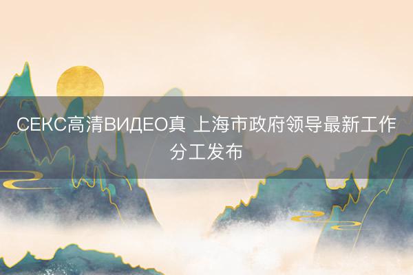СЕКС高清ВИДЕО真 上海市政府领导最新工作分工发布