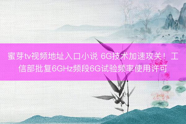 蜜芽tv视频地址入口小说 6G技术加速攻关!工信部批复6GHz频段6G试验频率使用许可