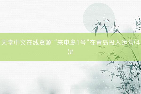 天堂中文在线资源 “来电岛1号”在青岛投入运营(4)#