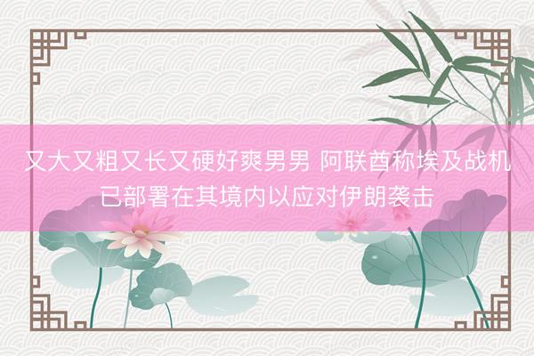 又大又粗又长又硬好爽男男 阿联酋称埃及战机已部署在其境内以应对伊朗袭击