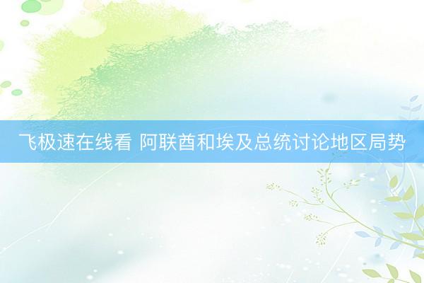 飞极速在线看 阿联酋和埃及总统讨论地区局势