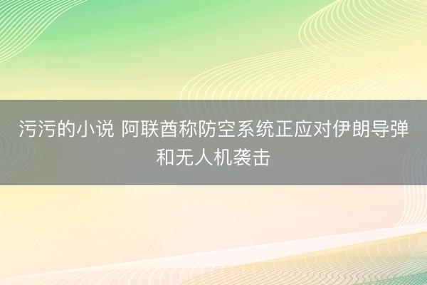 污污的小说 阿联酋称防空系统正应对伊朗导弹和无人机袭击