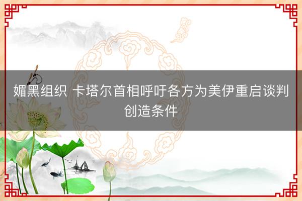 媚黑组织 卡塔尔首相呼吁各方为美伊重启谈判创造条件