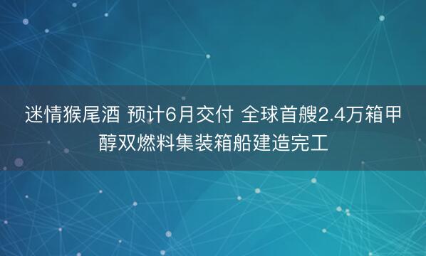 迷情猴尾酒 预计6月交付 全球首艘2.4万箱甲醇双燃料集装箱船建造完工