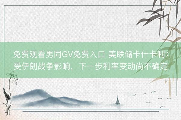 免费观看男同GV免费入口 美联储卡什卡利：受伊朗战争影响，下一步利率变动尚不确定