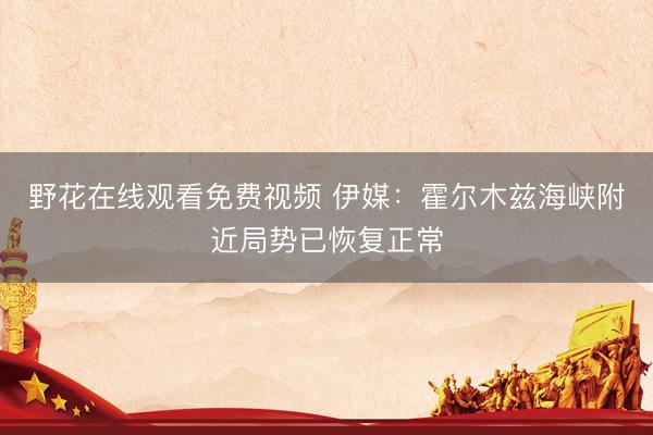 野花在线观看免费视频 伊媒：霍尔木兹海峡附近局势已恢复正常