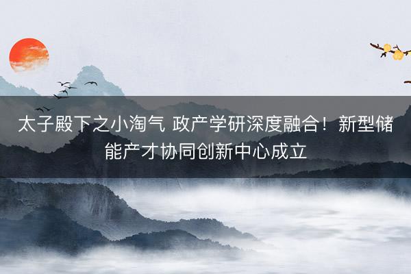太子殿下之小淘气 政产学研深度融合！新型储能产才协同创新中心成立