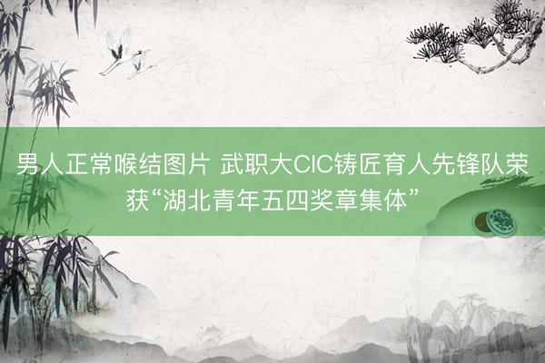 男人正常喉结图片 武职大CIC铸匠育人先锋队荣获“湖北青年五四奖章集体”