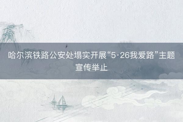 哈尔滨铁路公安处塌实开展“5·26我爱路”主题宣传举止