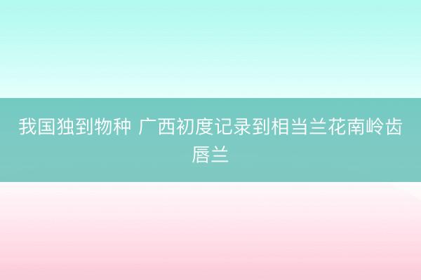 我国独到物种 广西初度记录到相当兰花南岭齿唇兰