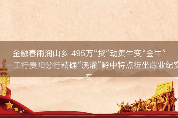 金融春雨润山乡 495万“贷”动黄牛变“金牛”——工行贵阳分行精确“浇灌”黔中特点衍坐蓐业纪实