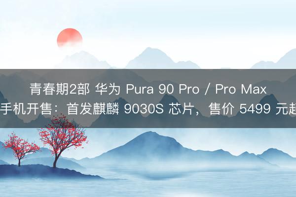 青春期2部 华为 Pura 90 Pro / Pro Max 手机开售：首发麒麟 9030S 芯片，售价 5499 元起
