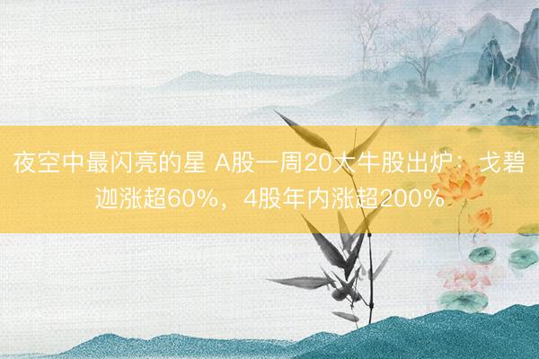 夜空中最闪亮的星 A股一周20大牛股出炉：戈碧迦涨超60%，4股年内涨超200%