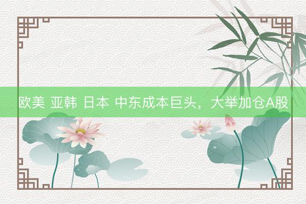 欧美 亚韩 日本 中东成本巨头，大举加仓A股