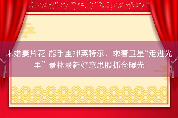 未婚妻片花 能手重押英特尔、乘着卫星“走进光里” 景林最新好意思股抓仓曝光