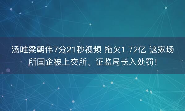 汤唯梁朝伟7分21秒视频 拖欠1.72亿 这家场所国企被上交所、证监局长入处罚！