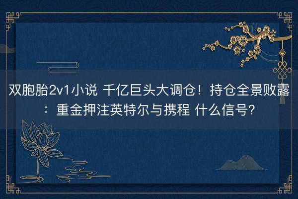 双胞胎2v1小说 千亿巨头大调仓！持仓全景败露：重金押注英特尔与携程 什么信号？