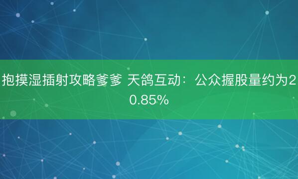抱摸湿插射攻略爹爹 天鸽互动：公众握股量约为20.85%