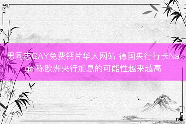男同志GAY免费钙片华人网站 德国央行行长Nagel称欧洲央行加息的可能性越来越高