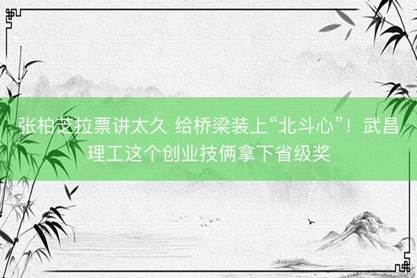 张柏芝拉票讲太久 给桥梁装上“北斗心”！武昌理工这个创业技俩拿下省级奖