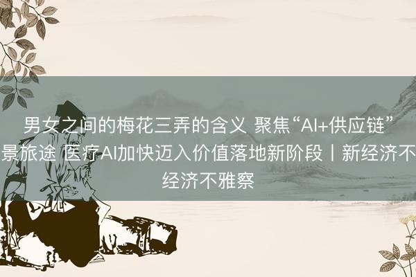 男女之间的梅花三弄的含义 聚焦“AI+供应链”全场景旅途 医疗AI加快迈入价值落地新阶段丨新经济不雅察