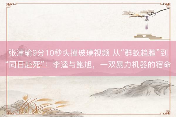 张津瑜9分10秒头撞玻璃视频 从“群蚁趋膻”到“同日赴死”：李逵与鲍旭，一双暴力机器的宿命