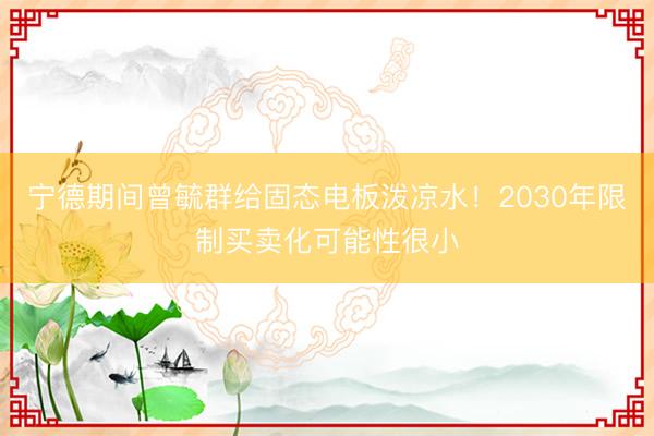 宁德期间曾毓群给固态电板泼凉水！2030年限制买卖化可能性很小