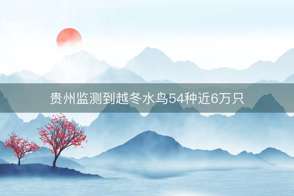 贵州监测到越冬水鸟54种近6万只