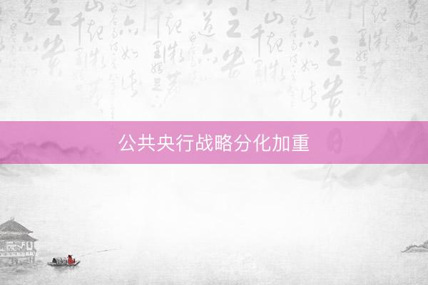公共央行战略分化加重