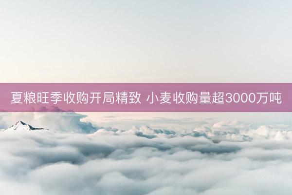 夏粮旺季收购开局精致 小麦收购量超3000万吨